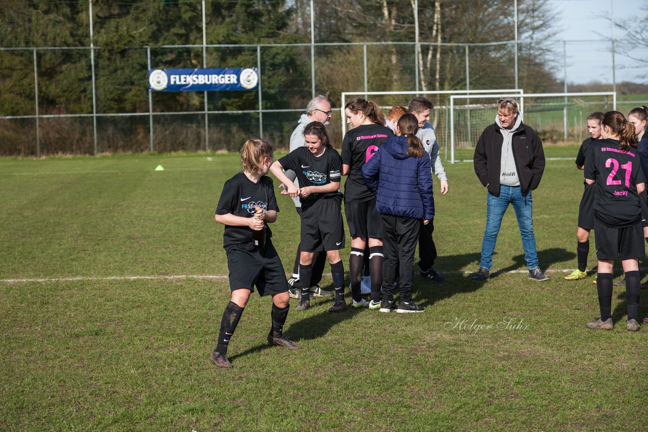 Bild 311 - C-Juniorinnen SV Steinhorst/Labenz - TSV Friedrichsberg-Busdorf : Ergebnis: 5:0